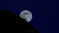 20250113_171302 Vollmond hinter dem Jura 309A8287_V2
