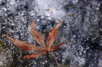 20250126_122913 Garten 309A8597