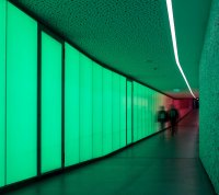 Autorin: Meier Natascha
